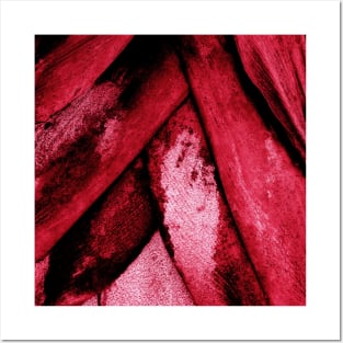 Rose coloured palm leaf stems Posters and Art